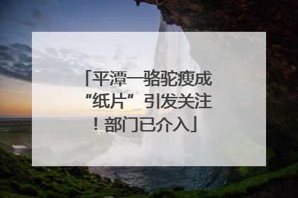 平潭一骆驼瘦成“纸片”引发关注！部门已介入