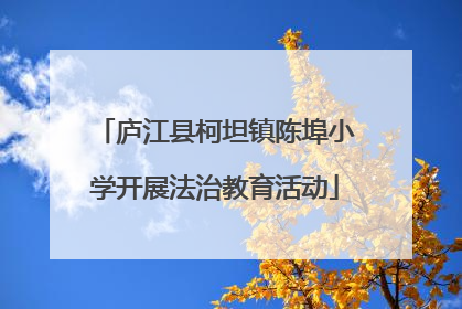 庐江县柯坦镇陈埠小学开展法治教育活动