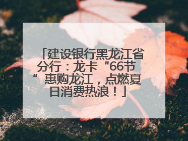 建设银行黑龙江省分行：龙卡“66节”惠购龙江，点燃夏日消费热浪！