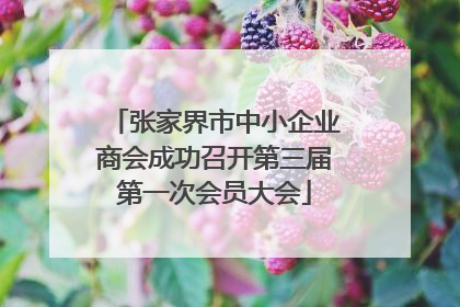 张家界市中小企业商会成功召开第三届第一次会员大会