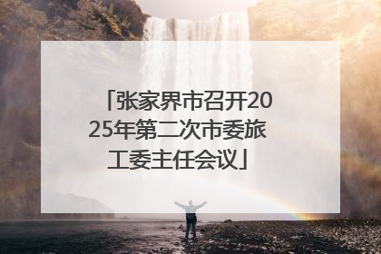 张家界市召开2025年第二次市委旅工委主任会议