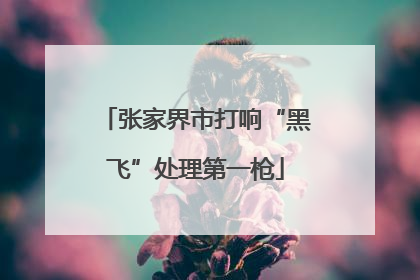 张家界市打响“黑飞”处理第一枪