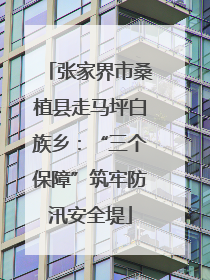 张家界市桑植县走马坪白族乡：“三个保障”筑牢防汛安全堤