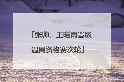 张帅、王曦雨晋级温网资格赛次轮