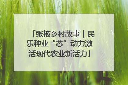 张掖乡村故事｜民乐种业“芯”动力激活现代农业新活力