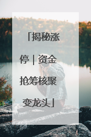揭秘涨停｜资金抢筹核聚变龙头