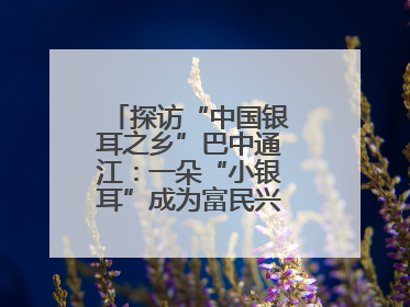 探访“中国银耳之乡”巴中通江：一朵“小银耳”成为富民兴县“大产业”