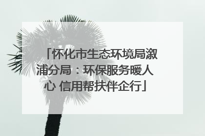 怀化市生态环境局溆浦分局：环保服务暖人心 信用帮扶伴企行
