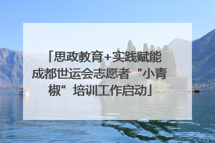 思政教育+实践赋能 成都世运会志愿者“小青椒”培训工作启动