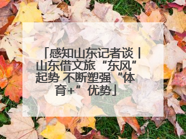 感知山东记者谈丨山东借文旅“东风”起势 不断塑强“体育+”优势