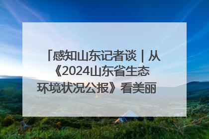 感知山东记者谈｜从《2024山东省生态环境状况公报》看美丽山东建设的“成绩单”与“任务书”