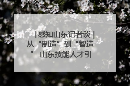 感知山东记者谈｜从“制造”到“智造” 山东技能人才引领产业升级