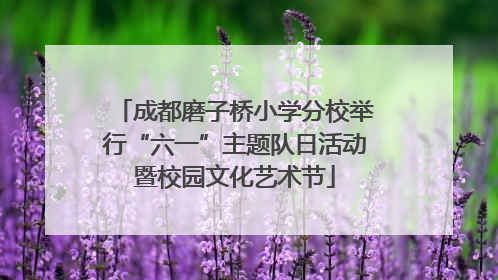 成都磨子桥小学分校举行“六一”主题队日活动暨校园文化艺术节