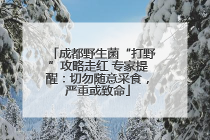 成都野生菌“打野”攻略走红 专家提醒：切勿随意采食，严重或致命
