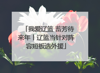 我爱辽篮 蓄芳待来年丨辽篮当针对阵容短板选外援