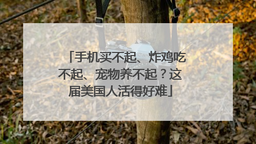 手机买不起、炸鸡吃不起、宠物养不起？这届美国人活得好难