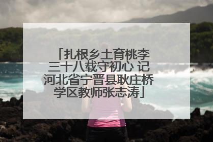 扎根乡土育桃李 三十八载守初心 记河北省宁晋县耿庄桥学区教师张志涛