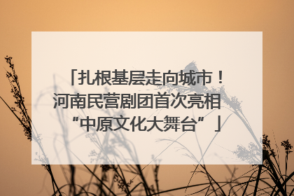 扎根基层走向城市！河南民营剧团首次亮相“中原文化大舞台”