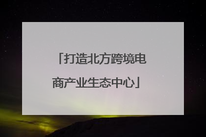 打造北方跨境电商产业生态中心