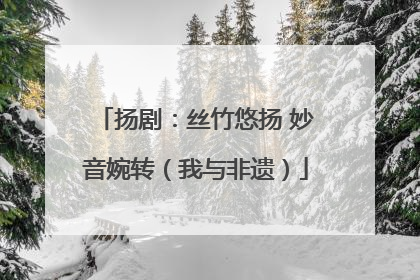 扬剧：丝竹悠扬 妙音婉转（我与非遗）