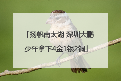 扬帆南太湖 深圳大鹏少年拿下4金1银2铜