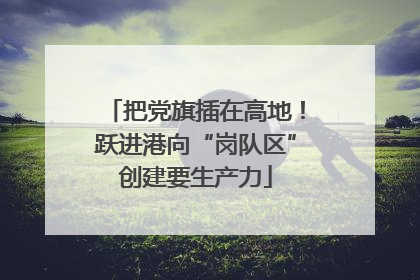 把党旗插在高地！跃进港向“岗队区”创建要生产力