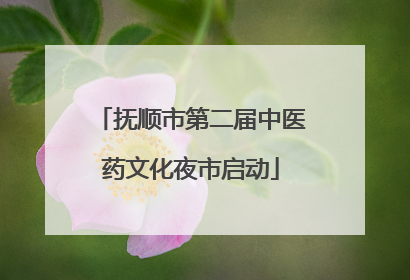 抚顺市第二届中医药文化夜市启动