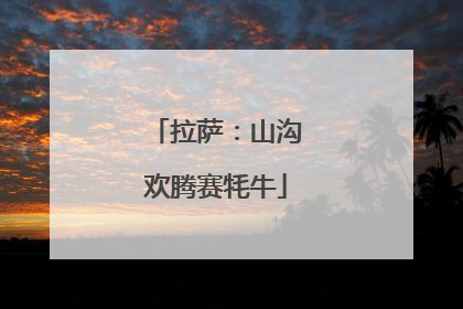 拉萨：山沟欢腾赛牦牛
