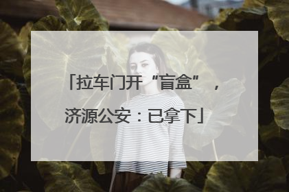拉车门开“盲盒”，济源公安：已拿下