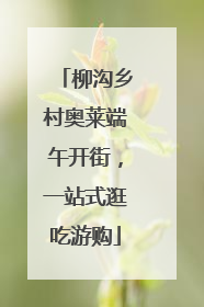 柳沟乡村奥莱端午开街，一站式逛吃游购