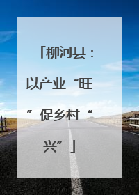 柳河县：以产业“旺”促乡村“兴”