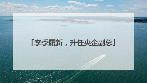 李季履新，升任央企副总