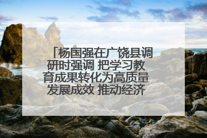 杨国强在广饶县调研时强调 把学习教育成果转化为高质量发展成效 推动经济稳健向好进中提质