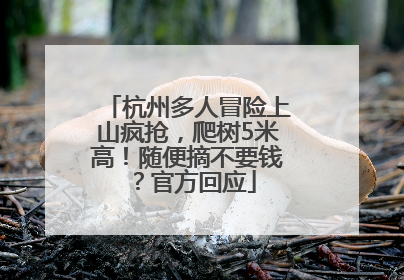 杭州多人冒险上山疯抢，爬树5米高！随便摘不要钱？官方回应