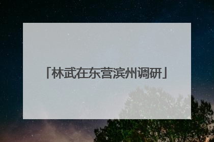 林武在东营滨州调研