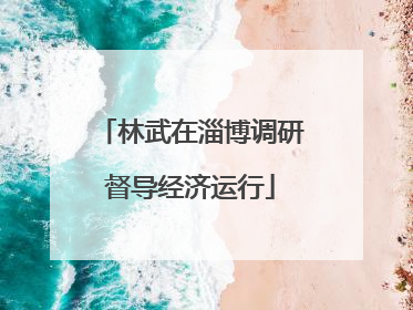 林武在淄博调研督导经济运行
