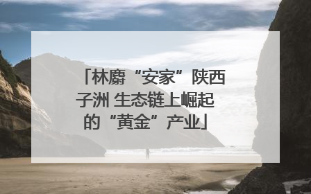 林麝“安家”陕西子洲 生态链上崛起的“黄金”产业