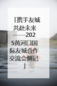 携手友城 共赴未来——2025黄河口国际友城合作交流会侧记