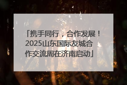 携手同行，合作发展！2025山东国际友城合作交流周在济南启动