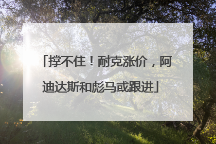 撑不住！耐克涨价，阿迪达斯和彪马或跟进