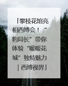 攀枝花馆亮相西博会！“豹局长”带你体验“暖暖花城”独特魅力｜西博视界
