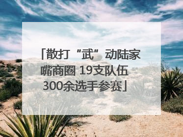 散打“武”动陆家嘴商圈 19支队伍300余选手参赛