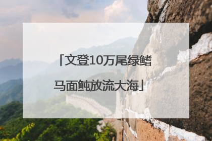 文登10万尾绿鳍马面鲀放流大海
