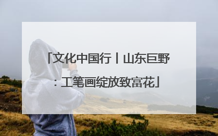 文化中国行丨山东巨野：工笔画绽放致富花