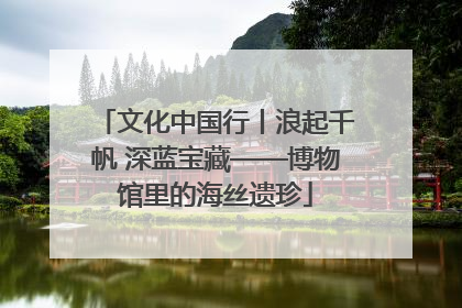 文化中国行丨浪起千帆 深蓝宝藏——博物馆里的海丝遗珍