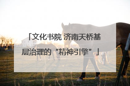 文化书院 济南天桥基层治理的“精神引擎”
