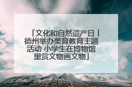 文化和自然遗产日丨德州举办美育教育主题活动 小学生在博物馆里赏文物画文物