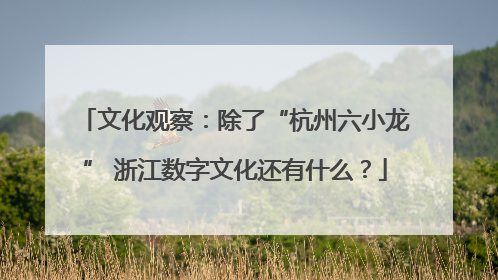 文化观察：除了“杭州六小龙” 浙江数字文化还有什么？
