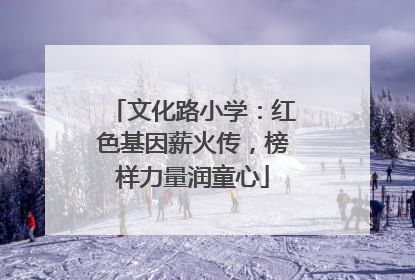 文化路小学：红色基因薪火传，榜样力量润童心