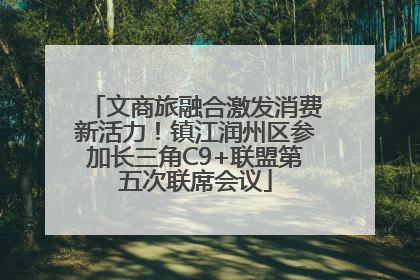 文商旅融合激发消费新活力！镇江润州区参加长三角C9+联盟第五次联席会议